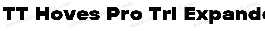 TT Hoves Pro Trl Expanded Bold字体转换